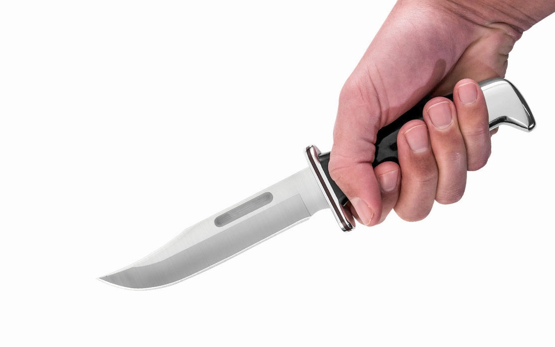 Buck Knives 119 Special Knife & Sheath - Fixed Blade with Black Handle