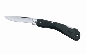 Case Mini Blackhorn 2-1/4" Folding Knife