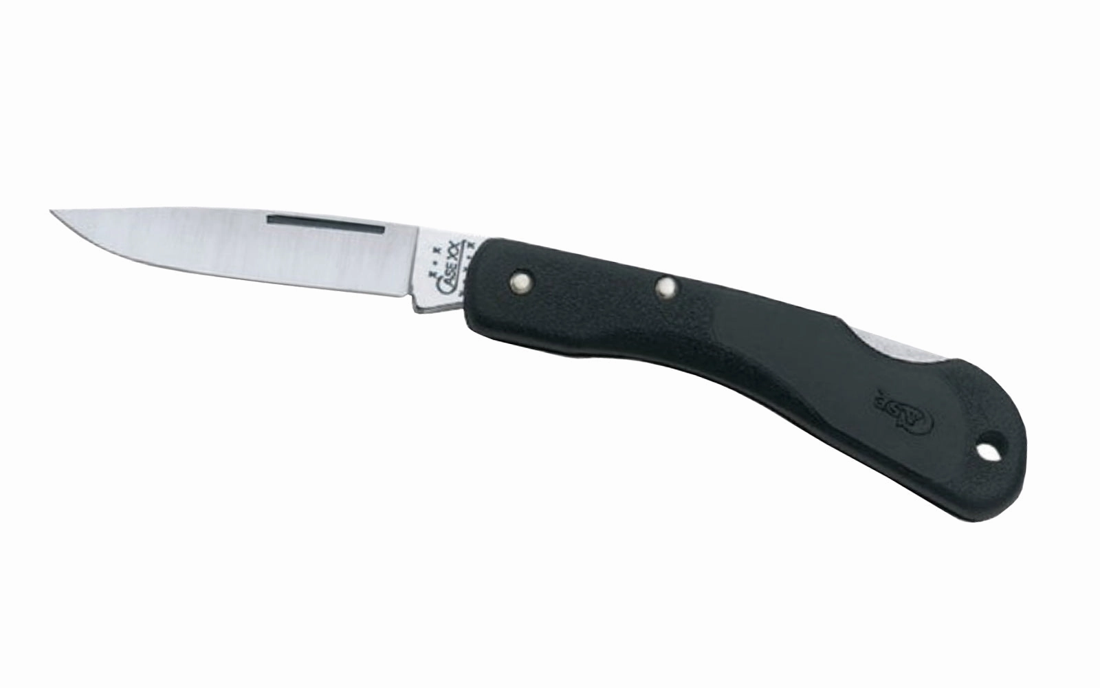 Case Mini Blackhorn 2-1/4" Folding Knife