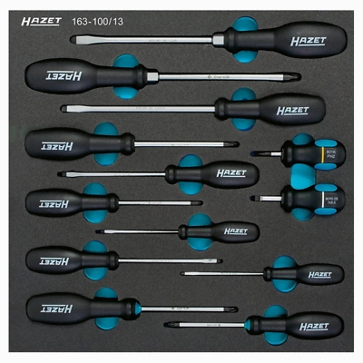 Hazet 163-100/13 Screwdriver Set, 13 pieces