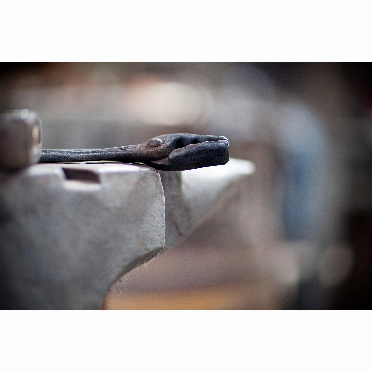 Picard 0004900-500 Blacksmiths' Tong, Wolf's Jaw, No. 49, 500 mm